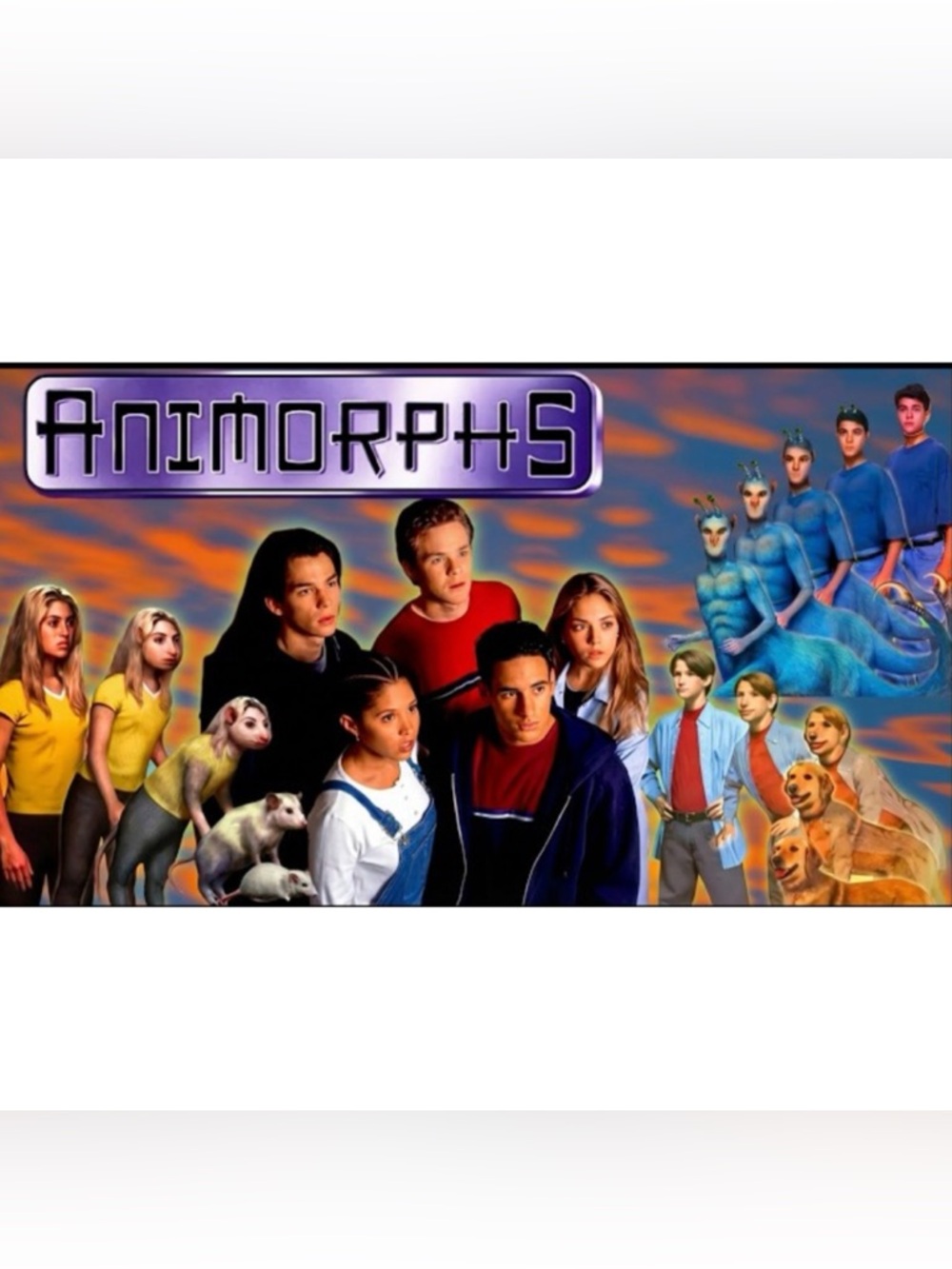 Animorphs Season 1 - 2 complete series Made on Demand